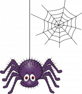 http://pressreleaseheadlines.com/wp-content/Cimy_User_Extra_Fields/spiderbites.net/how-to-get-rid-of-spiders.jpg